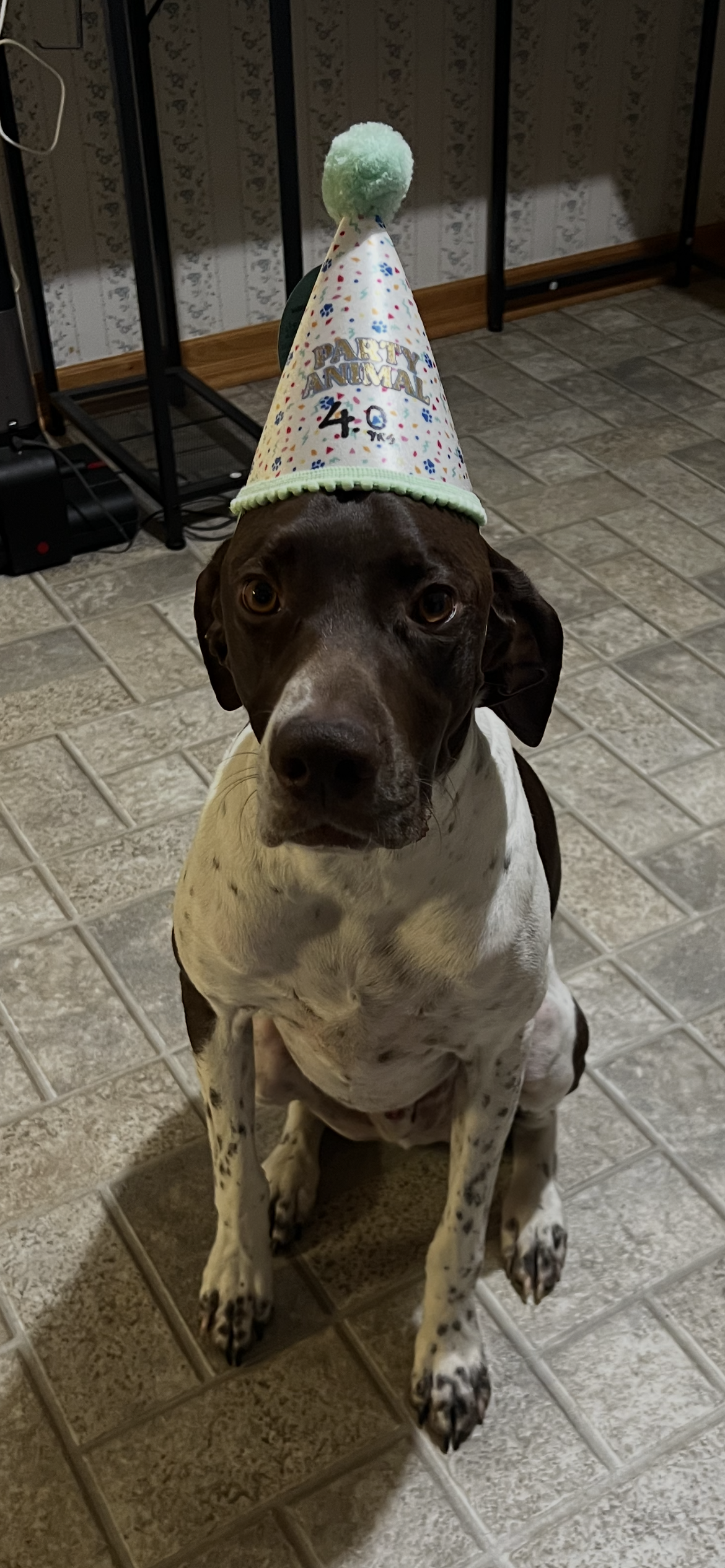 Benji