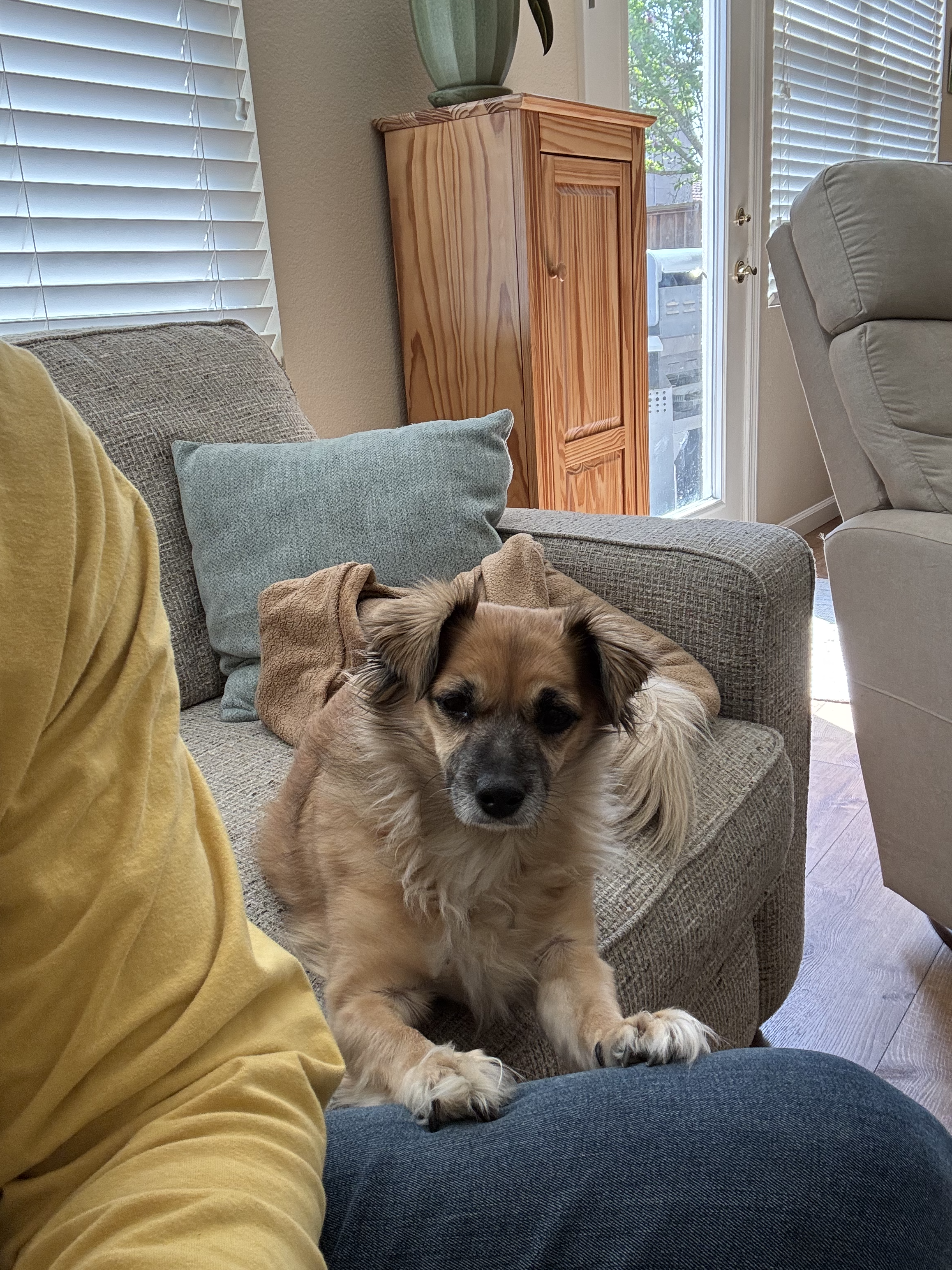 Rosie (Sam's)