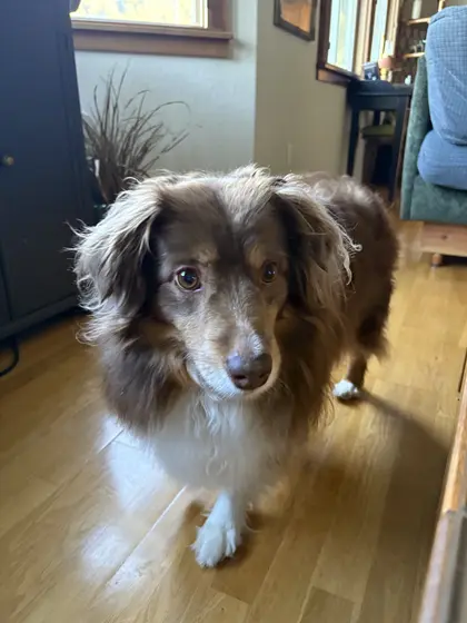 Rusty