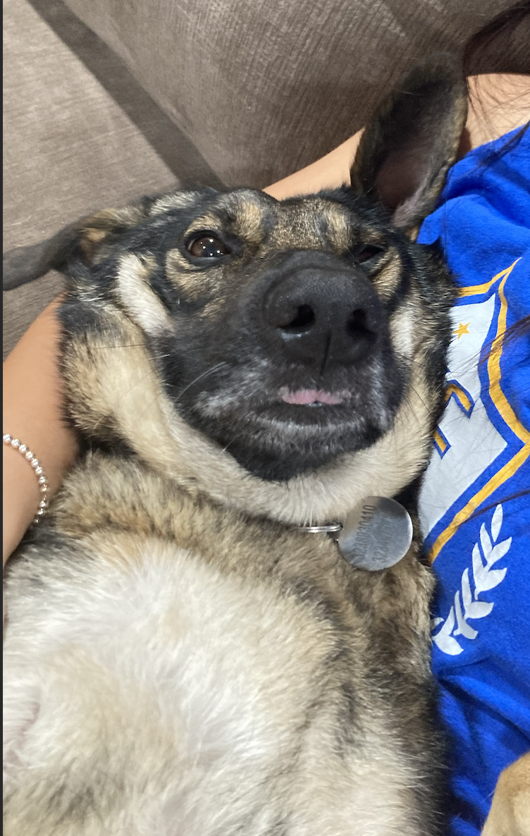 Yuki